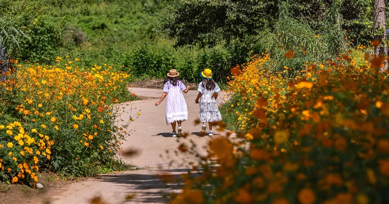 Les activités nature en forêt qui fonctionnent vraiment avec des enfants