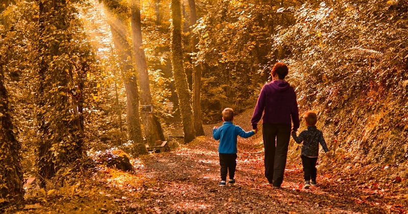 10 activités nature à faire avec enfants en forêt