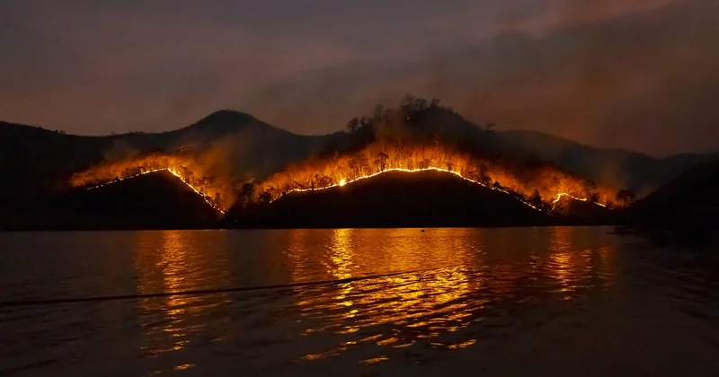 Où faire un feu en France : les trois règles qui comptent vraiment