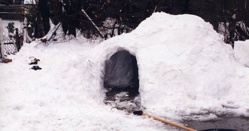 Construire un abri de survie en forêt : les techniques essentielles