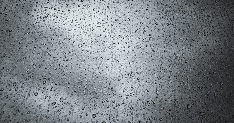 Comment survivre aux jours de pluie et de canicule